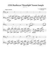 Load image into Gallery viewer, Showstoppers! Vol. 2<br>Advanced Encore Selections<br> for Cello Duet