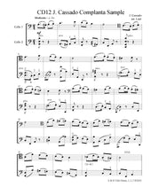 Load image into Gallery viewer, Showstoppers! Vol. 2<br>Advanced Encore Selections<br> for Cello Duet