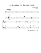 Load image into Gallery viewer, "Scenes from a Winter Season"<br>Holiday Music for Cello Duet