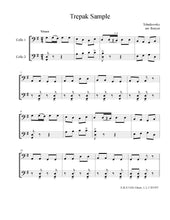 Load image into Gallery viewer, "Scenes from a Winter Season"<br>Holiday Music for Cello Duet