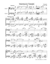 Load image into Gallery viewer, Showstoppers! Vol. 4<br>Advanced Encore Selections<br> for Cello Duet