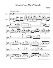 Load image into Gallery viewer, "A to Zipoli" Vol. 8<br>Progressive Solos with<br> Teacher Accompaniment