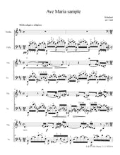 Load image into Gallery viewer, "If You Must Split the Fee!" <br>Gig Music for Violin & Cello<br> Volume 3