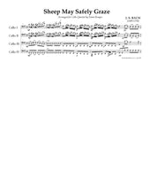 Load image into Gallery viewer, "More than Basic Beginners"<br>Music for 4 Cellos:<br>Beginner Series