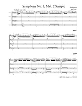 Load image into Gallery viewer, "Orchestral Excerpts" Vol. 1<br>Music for 4 Cellos:<br>Advanced Series