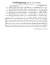 Load image into Gallery viewer, "Songs without Voice"<br>Brahms, Faure & Others<br>Music for 4 Cellos:<br>Intermediate Series