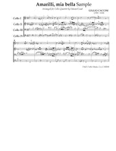 Load image into Gallery viewer, "Songs without Voice"<br>Brahms, Faure & Others<br>Music for 4 Cellos:<br>Intermediate Series