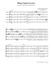 Load image into Gallery viewer, "Two for Five"<br> Gesualdo & Mendelssohn<br>Music for 5 Cellos:<br>Intermediate & Advanced Series