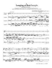 Load image into Gallery viewer, "Cello Misfits" Vol. 2<br>Saint-Saens, Granados & others<br>Music for 4 Cellos:<br>Intermediate & Advanced Series