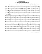 Load image into Gallery viewer, "Cello Misfits" Vol. 2<br>Saint-Saens, Granados & others<br>Music for 4 Cellos:<br>Intermediate & Advanced Series