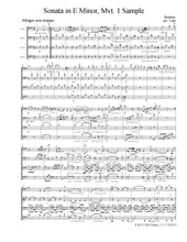 Load image into Gallery viewer, Brahms "Sonata in E Minor"<br>(Complete)<br>Music for 4 Cellos:<br>Advanced Series