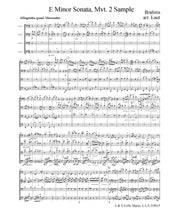 Load image into Gallery viewer, Brahms "Sonata in E Minor"<br>(Complete)<br>Music for 4 Cellos:<br>Advanced Series
