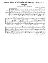 Load image into Gallery viewer, The 3 B's: Bach, Brahms<br> & Beethoven<br> Music for Cello Trio