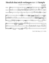 Load image into Gallery viewer, The 3 B's: Bach, Brahms<br> & Beethoven<br> Music for Cello Trio