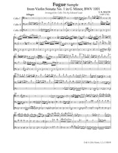 Load image into Gallery viewer, The 3 B's: Bach, Brahms<br> & Beethoven<br> Music for Cello Trio