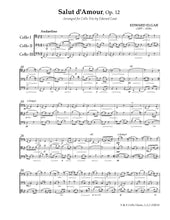 Load image into Gallery viewer, "Tantalizing Trios"<br>Elgar, Granados & Sarasate<br> Music for Cello Trio