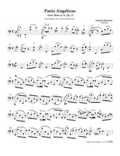 Load image into Gallery viewer, "Why Split the Fee?" <br>Gig Music for Solo Cello Vol. 1<br>*Digital Download