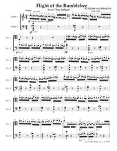 Load image into Gallery viewer, Rimsky-Korsakov &quot;Flight of the Bumblebee&quot;&lt;br&gt; for Advanced Solo Cello&lt;br&gt; &amp; 2nd Cello Accompaniment
