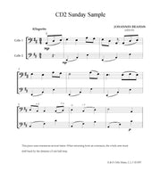 Load image into Gallery viewer, Brahms &quot;Sunday&quot;&lt;br&gt; for Beginner Solo Cello
