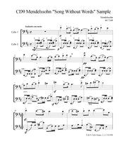 Load image into Gallery viewer, Mendelssohn&lt;br&gt;&quot; Song Without Words&quot;&lt;br&gt;for Advanced Solo Cello
