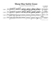 Load image into Gallery viewer, &quot;More than Basic Beginners&quot;&lt;br&gt;Music for 4 Cellos:&lt;br&gt;Beginner Series
