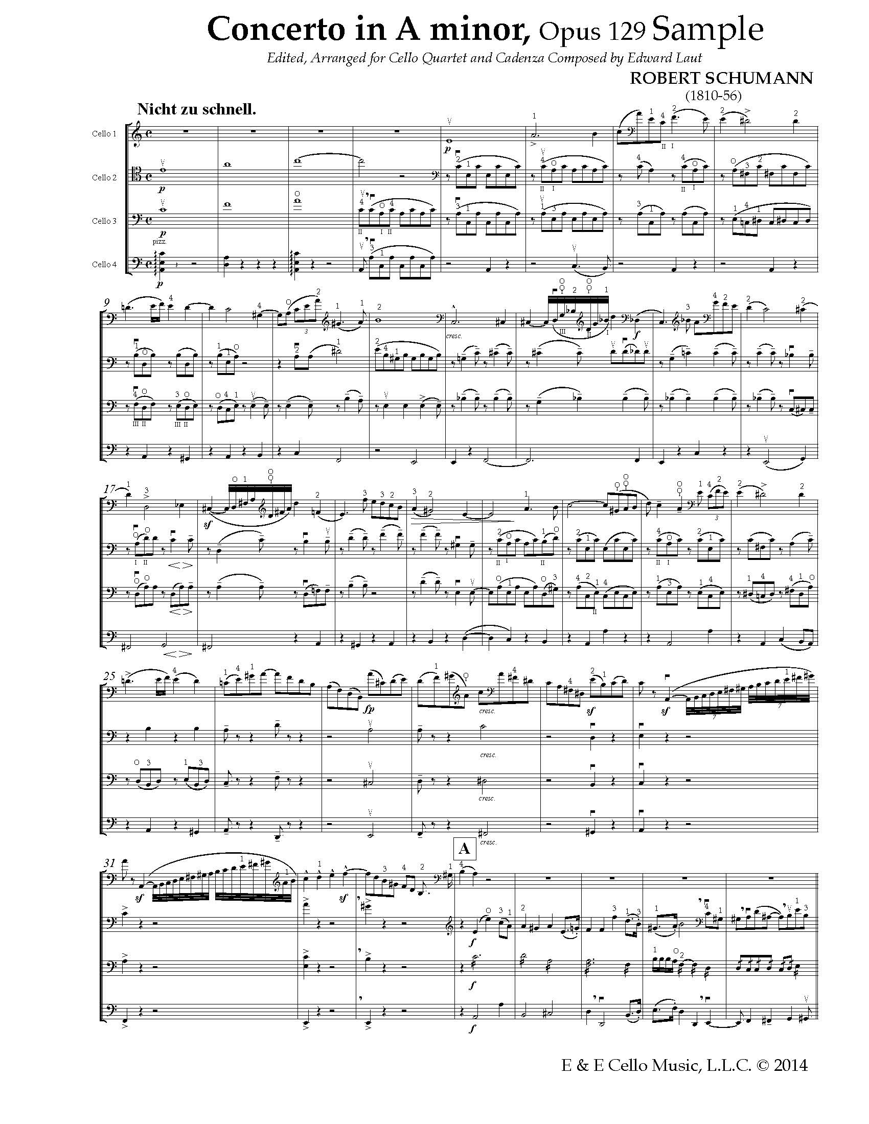 Why Sheep? ‎– Sampling Concerto A Zildjian Classic Orchestral Selection - Medium, Pairs